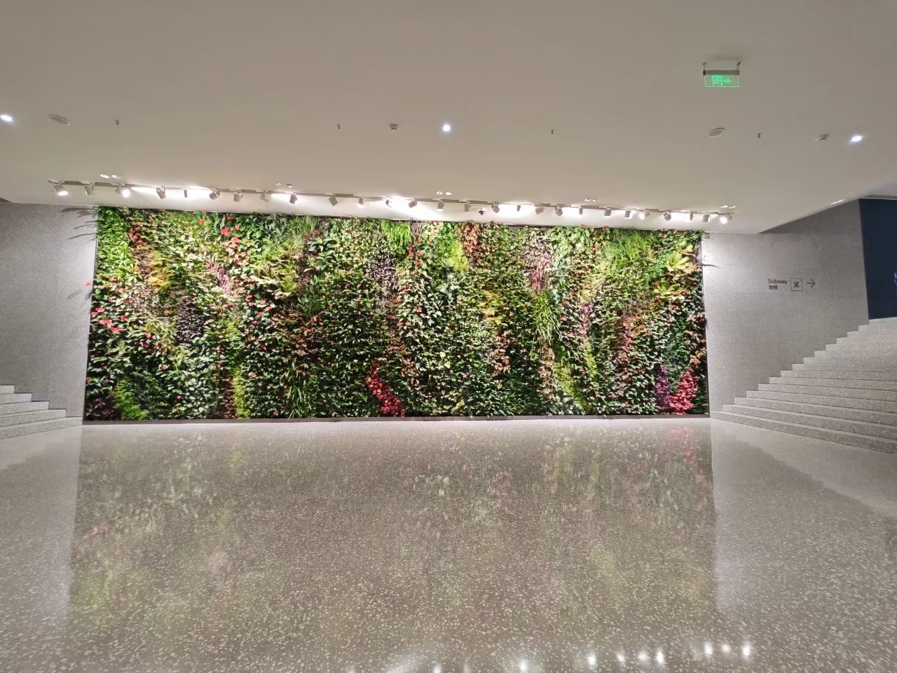 写字楼大堂室内垂直绿化植物墙
