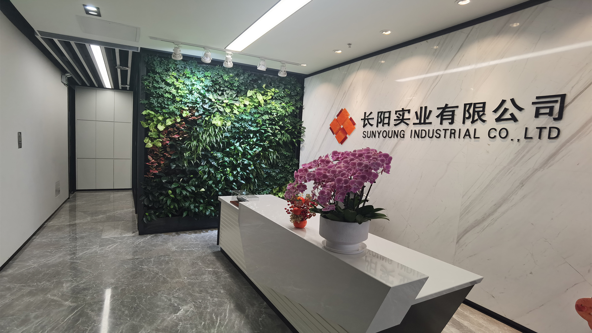 深圳世贸大厦长阳实业垂直绿化植物墙