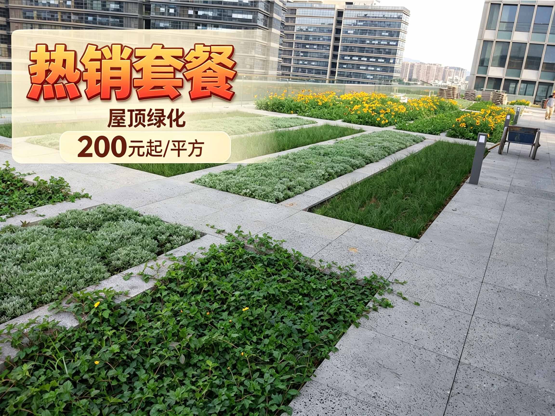 热销套餐：垂直绿化植物墙500元起_㎡ (3).jpg