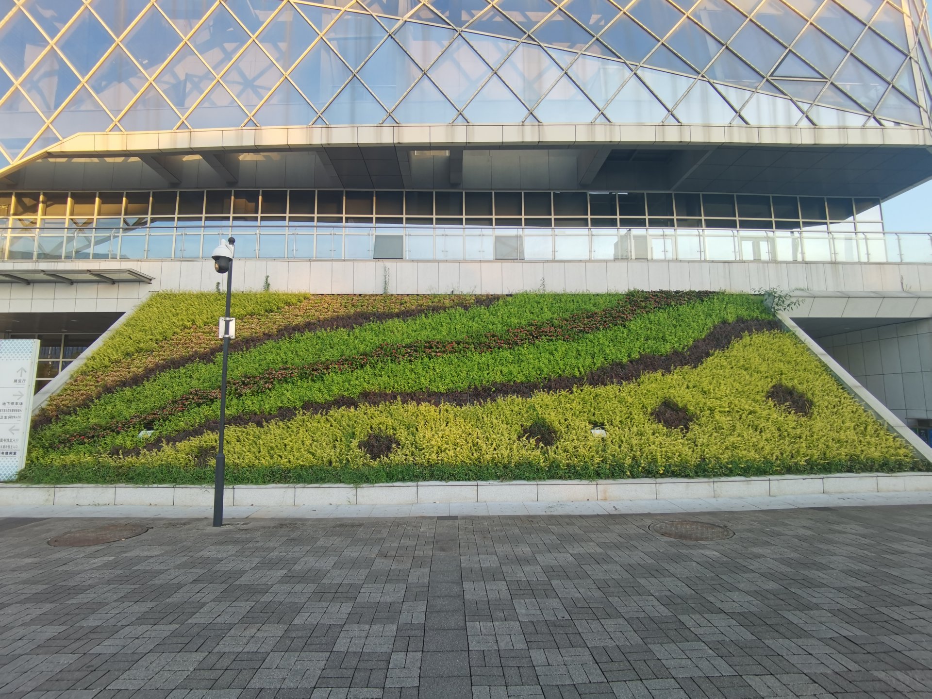 会展中心展馆护坡垂直绿化植物墙