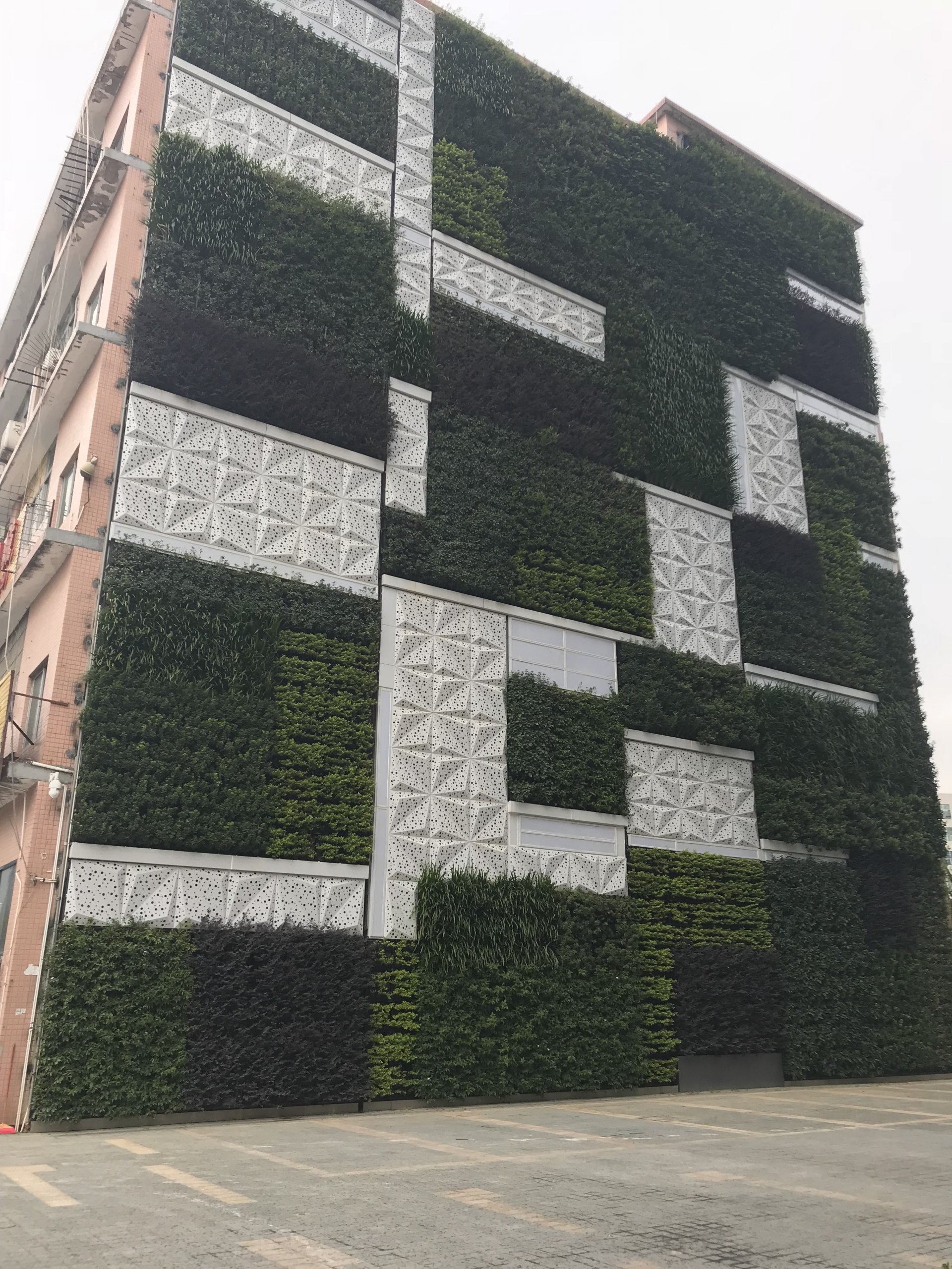 酒店建筑外墙垂直绿化植物墙