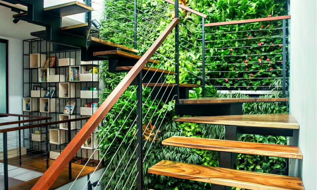 楼梯垂直绿化植物墙