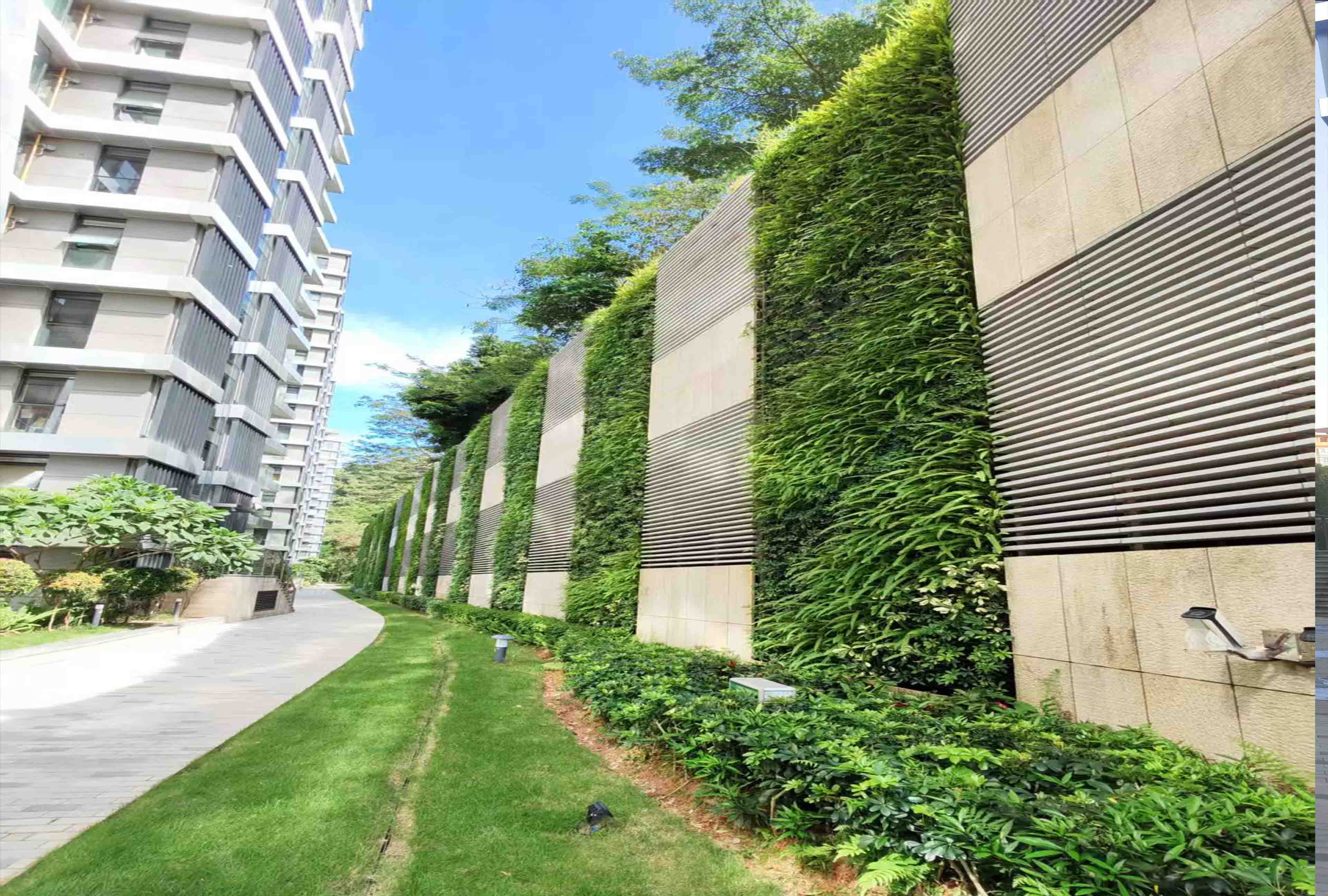 汉京九榕台垂直绿化植物墙