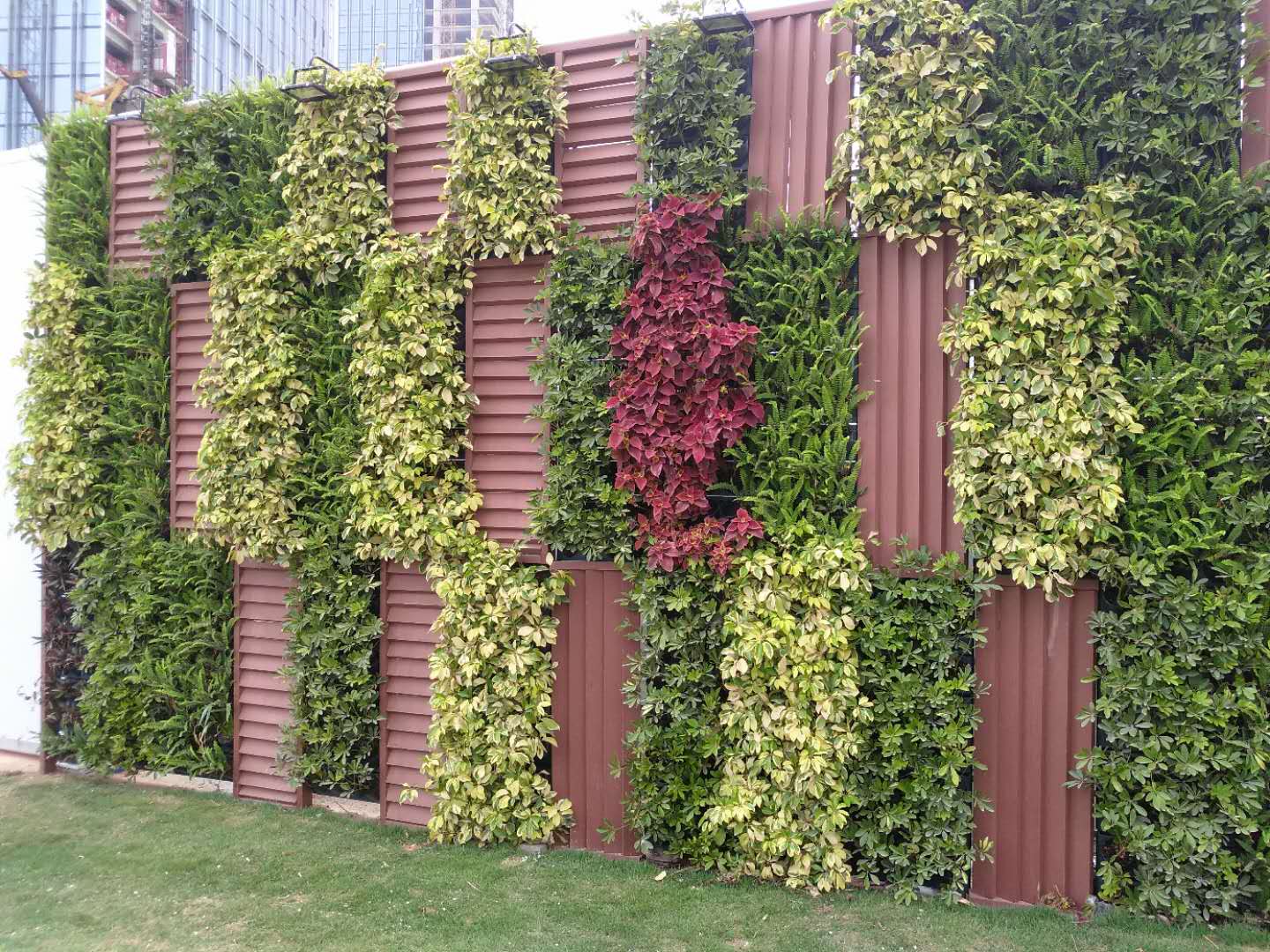 工地围档围墙垂直绿化植物墙