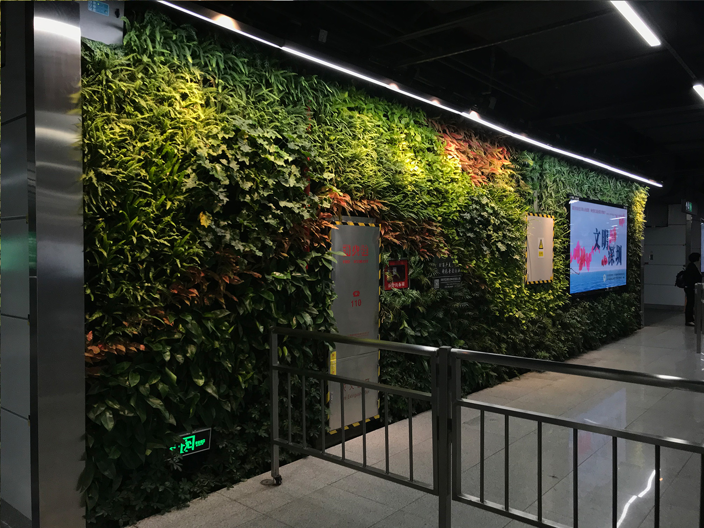 车公庙地铁站垂直绿化植物墙