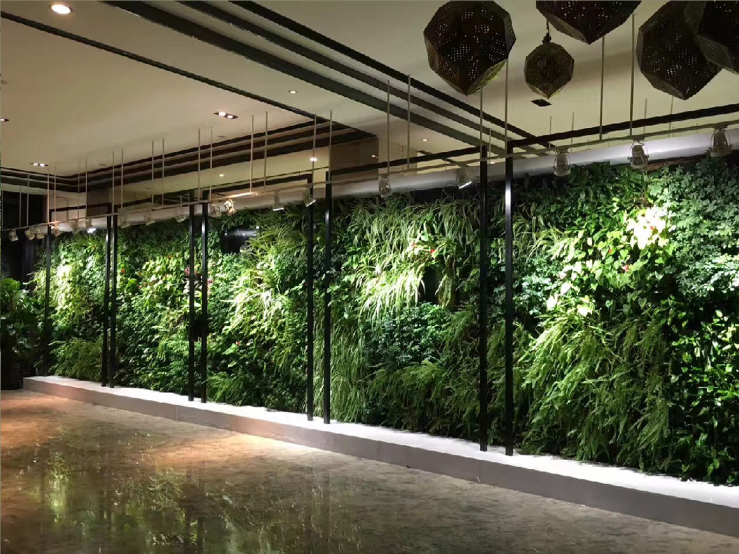 办公室植物墙垂直绿化