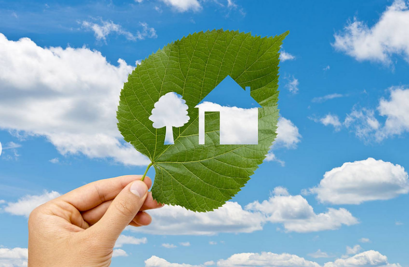 植物墙能改善室内空气质量吗？