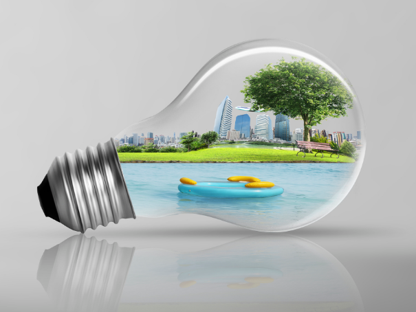 节假日或特殊情况下，无人照看植物墙，植物会出现什么问题？