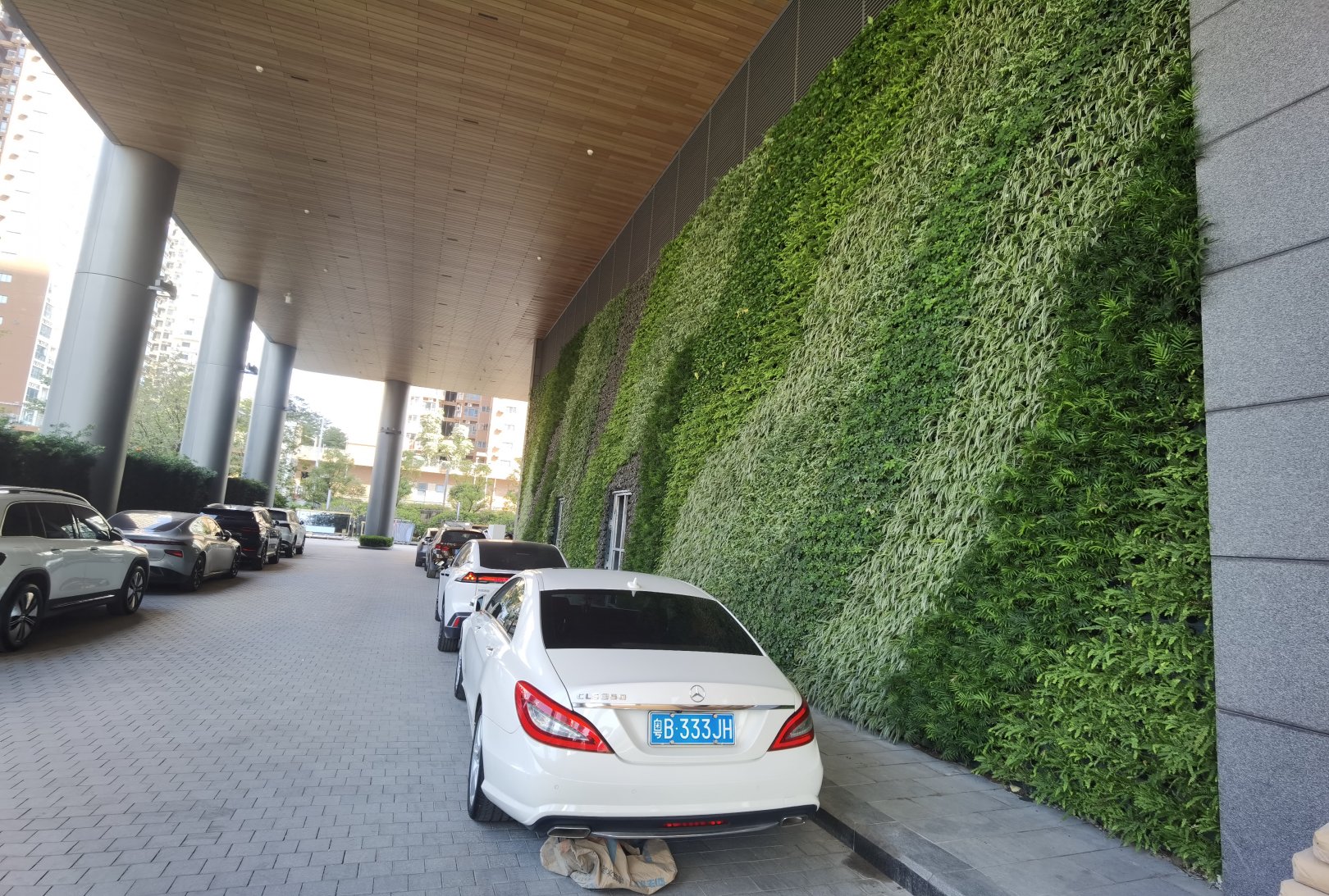 深圳前海微众银行垂直绿化植物墙