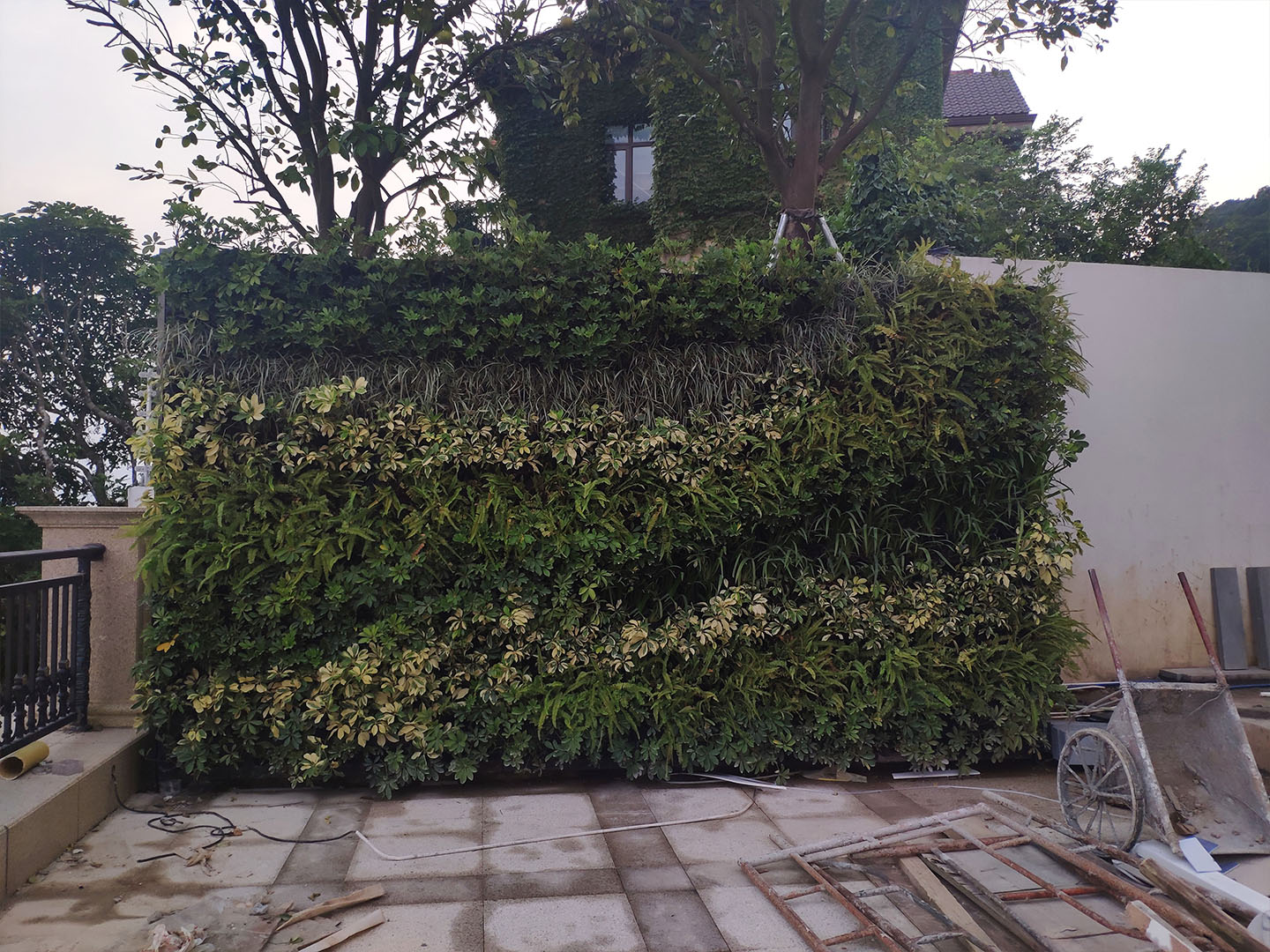 深圳天鹿别墅垂直绿化植物墙