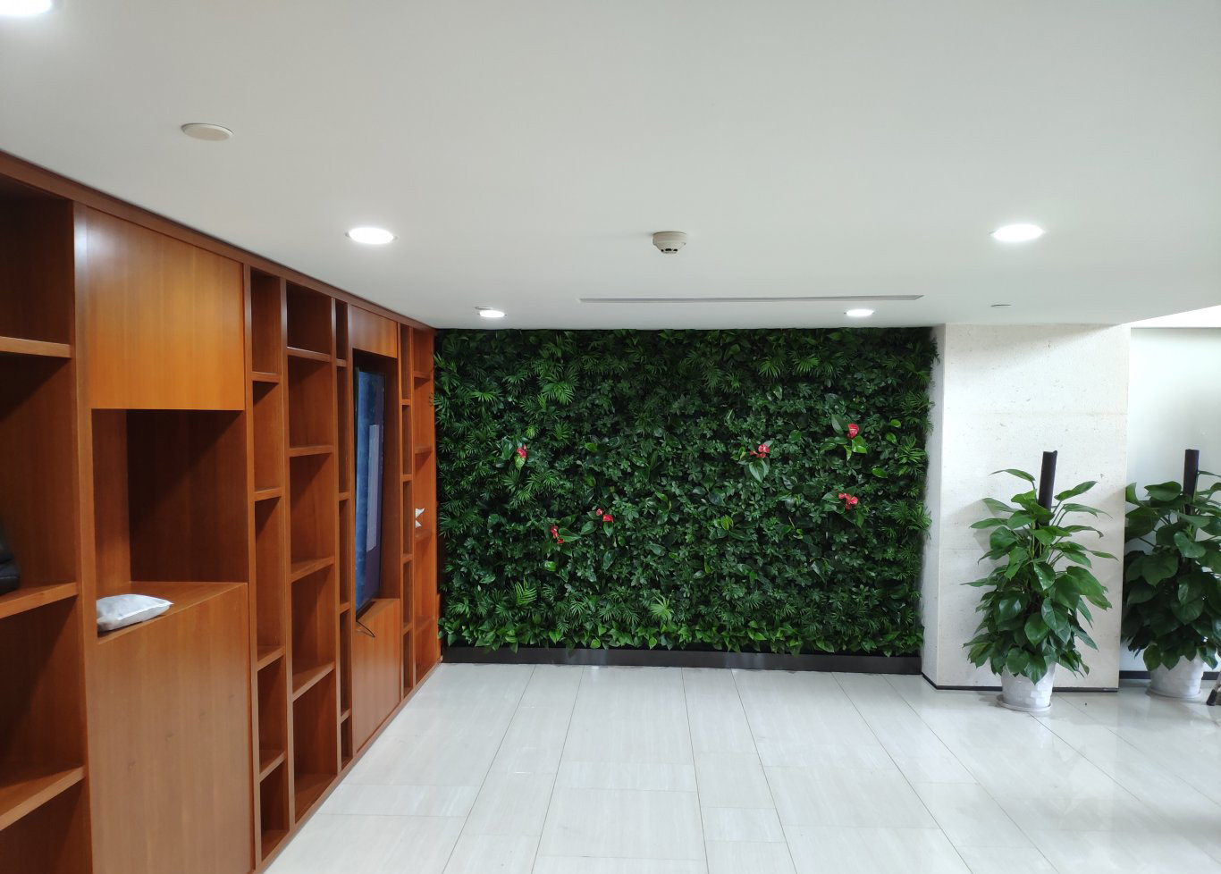 南山纪委垂直绿化植物墙