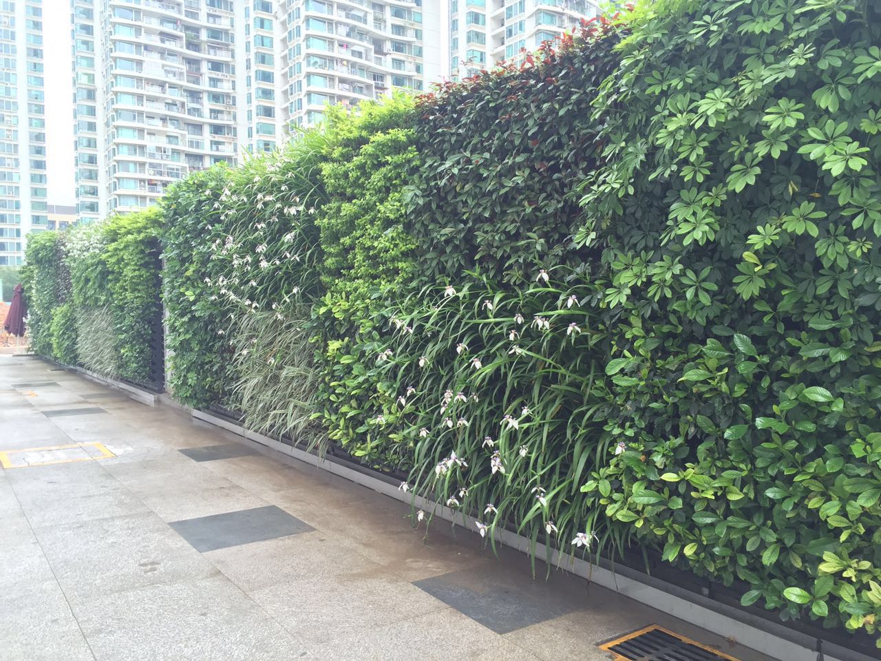 深圳百度大厦垂直绿化植物墙