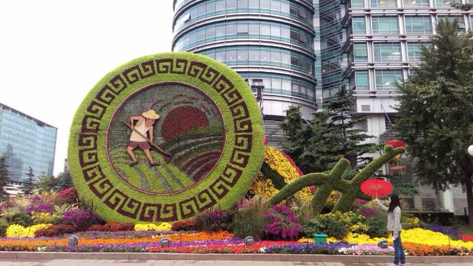 大丰收植物绿雕