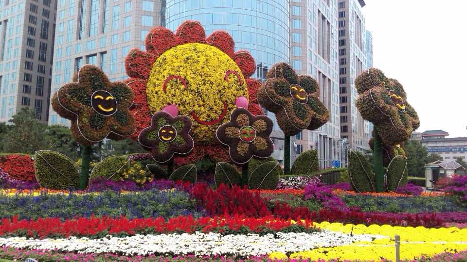 向日葵绿雕小景