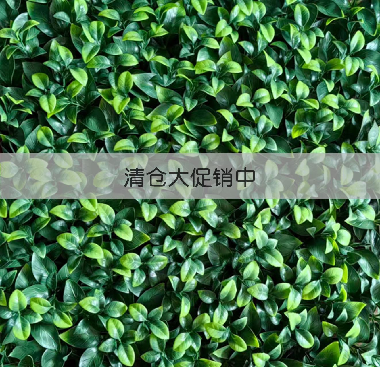 室外防晒栀子叶仿真植物大促销  价格优惠