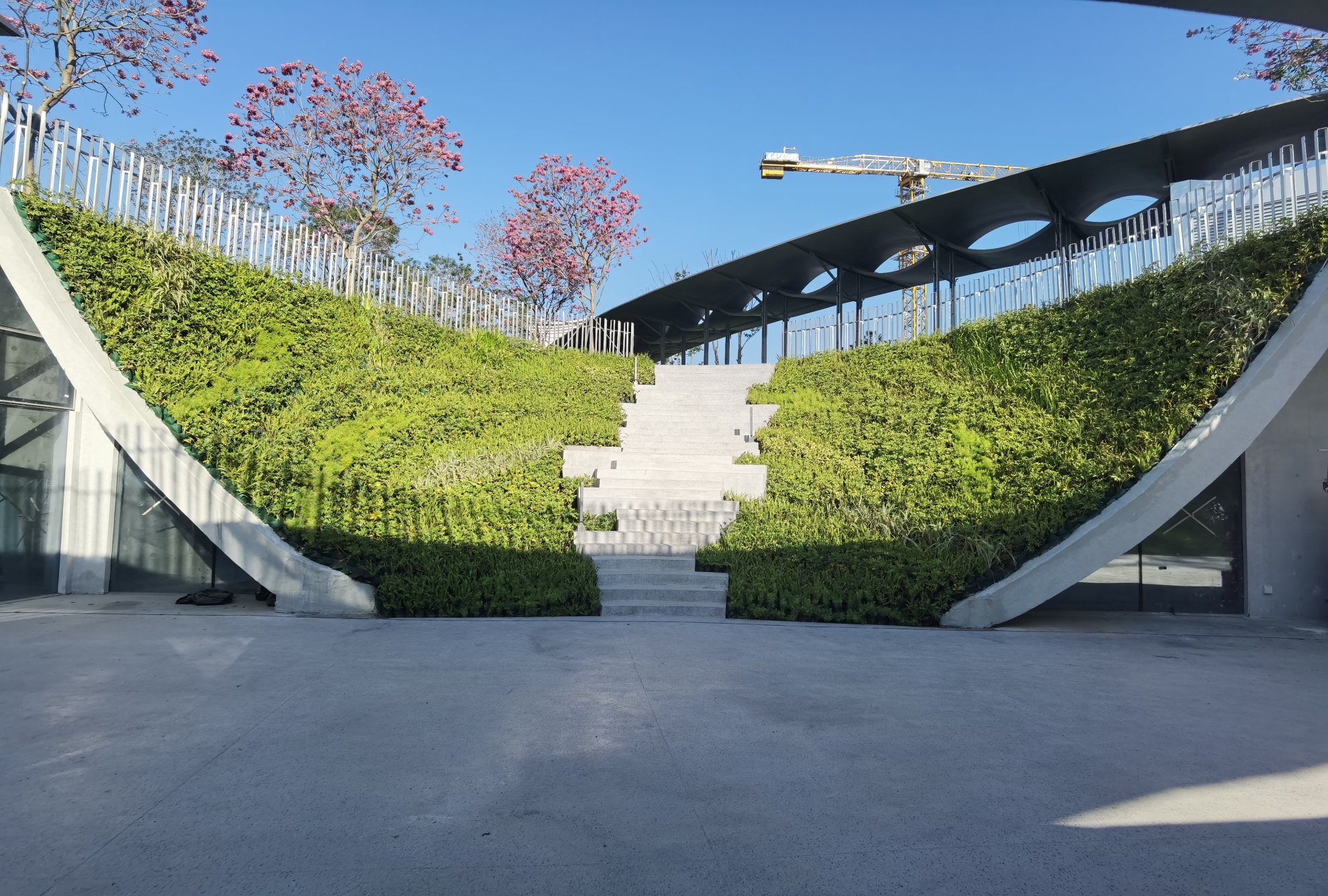 前海石演艺公园海洋艺术馆垂直绿化植物墙