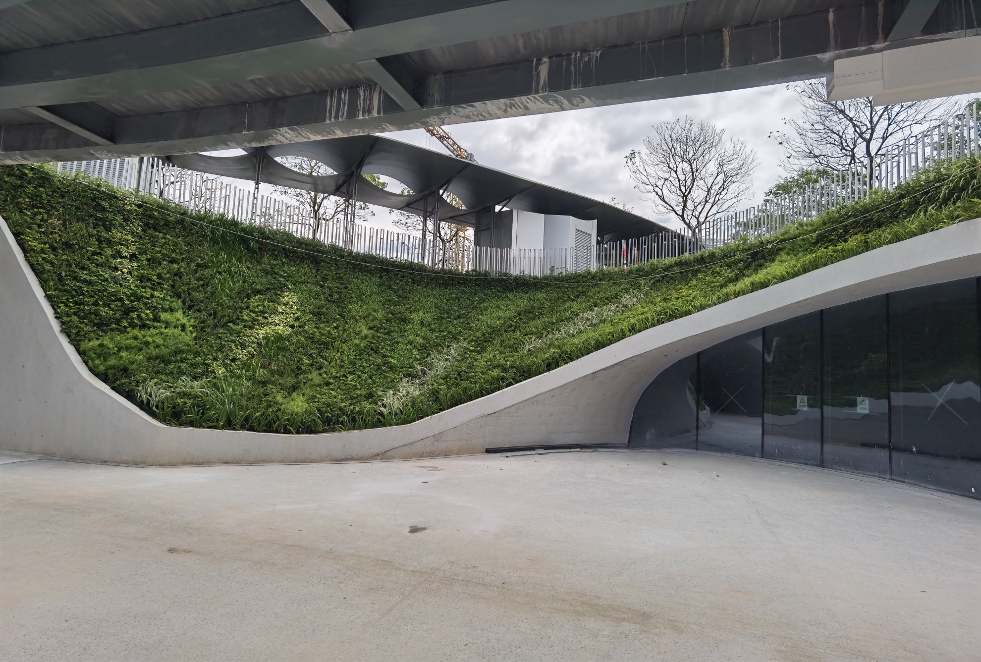 华侨城前海石演艺公园森林餐厅垂直绿化植物墙